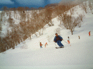 �k�A���v�X